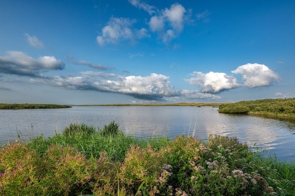 Omgeving - Ruim appartement met tuin in Callantsoog (5)