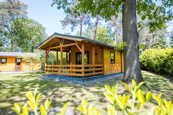 Buitenkant - Lodge in Markelo met Sauna en Zwembad in Markelo (2)