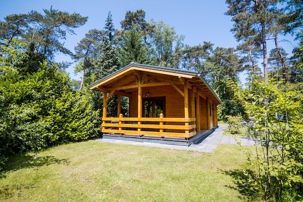 Buitenkant - Lodge in Markelo met Sauna en Zwembad in Markelo (3)