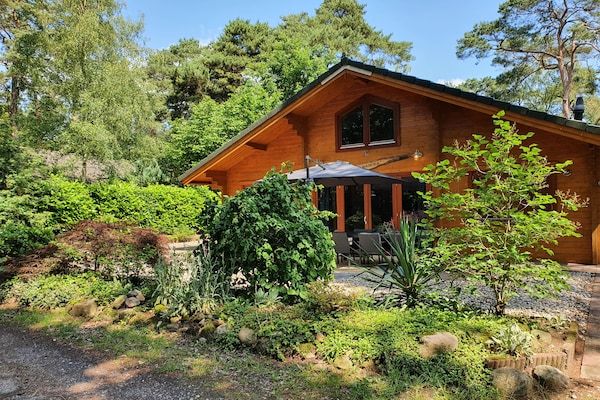 Buitenkant - Villa in het bos met privé sauna in Markelo (1)