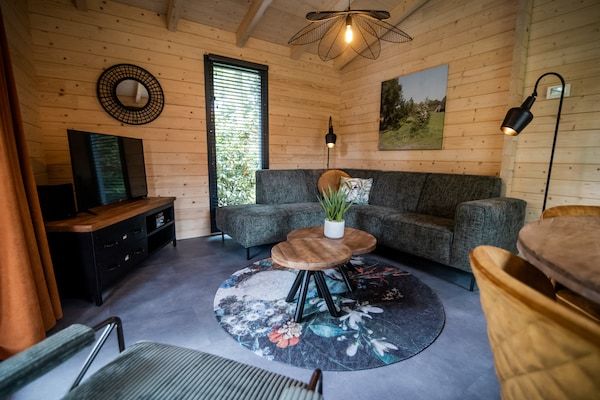 Woonkamer - Vakantiehuis in Markelo bij bos en zwembad in Markelo (3)