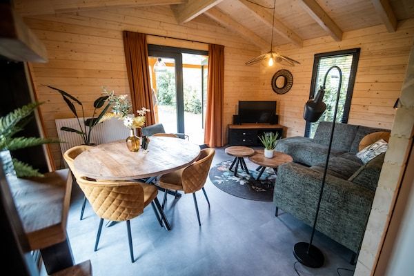 Woonkamer - Vakantiehuis in Markelo bij bos en zwembad in Markelo (4)