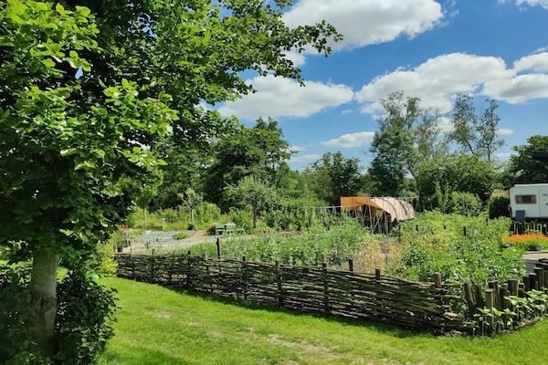 Tuin - Hut in de natuur bij wandelpaden in Scherpenzeel (4)