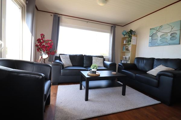 Woonkamer - Chalet in Friesland bij Waddenzee in Tzummarum (2)