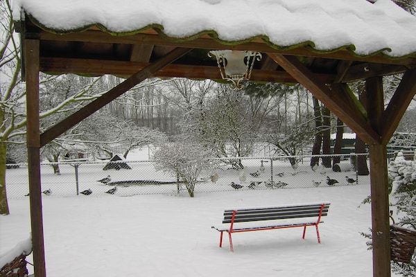 Buitenkant - Vakantiehuis in Bergen op Zoom met tuin in Bergen op Zoom (2)