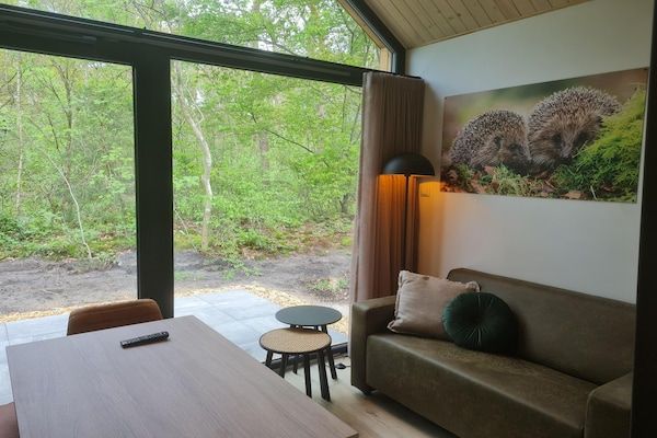 Woonkamer - 4-persoons vakantiehuis in de natuur in Balkbrug (2)