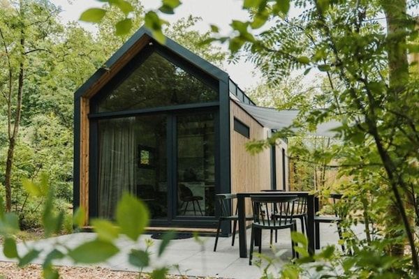 Buitenkant - 4-persoons vakantiehuis in de natuur in Balkbrug (1)