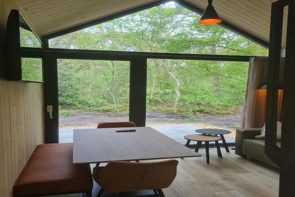 Woonkamer - 4-persoons vakantiehuis in de natuur in Balkbrug (3)