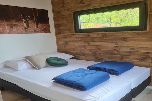Slaapkamer - 4-persoons vakantiehuis in de natuur in Balkbrug (5)
