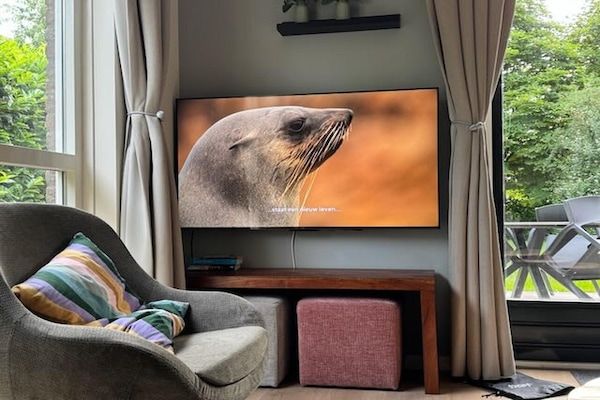 Woonkamer - Bosretraite met zonneoplader in Ewijk (2)