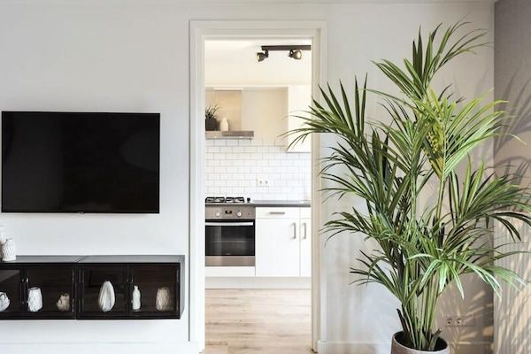 Untagged - Appartementen voor 2 personen in Zandvoort (2)