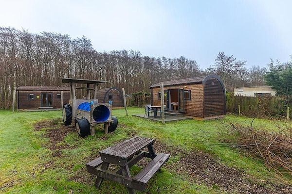 Terras - Vakantiehuis voor 4 in Zeeland vlakbij het strand in Burgh-Haamstede (4)