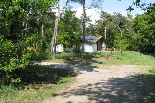 Buitenkant - Moderne ontsnapping aan het meer in Herpen (2)