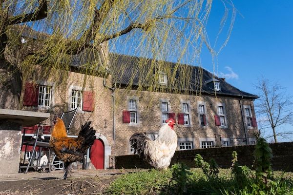 Buitenkant - Idyllische familievakantie in Limburg in Mesch-Eijsden (5)