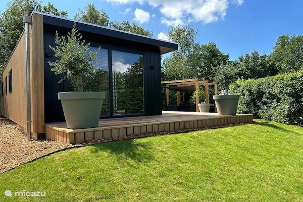 Buitenkant - Chalet de Blauwe Regen met Zonneterras in Balkbrug (5)