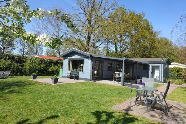 Buitenkant - Vechtdalchalet de Wilg in Rheezerveen (1)