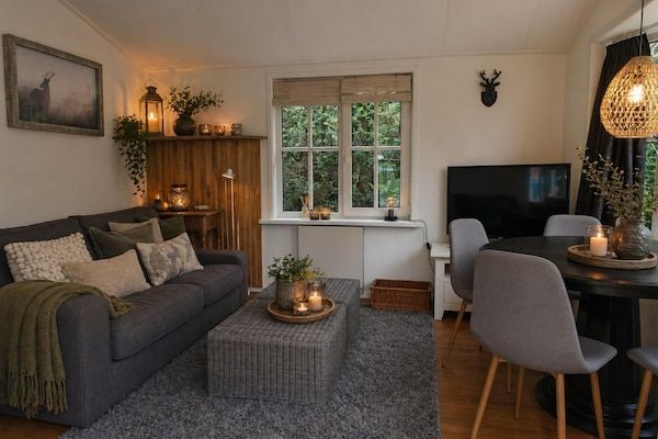 Woonkamer - Vechtdalchalet de Berk in Rheezerveen (2)