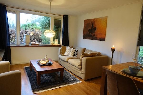Woonkamer - Vechtdalchalet de Eik in Rheezerveen (2)