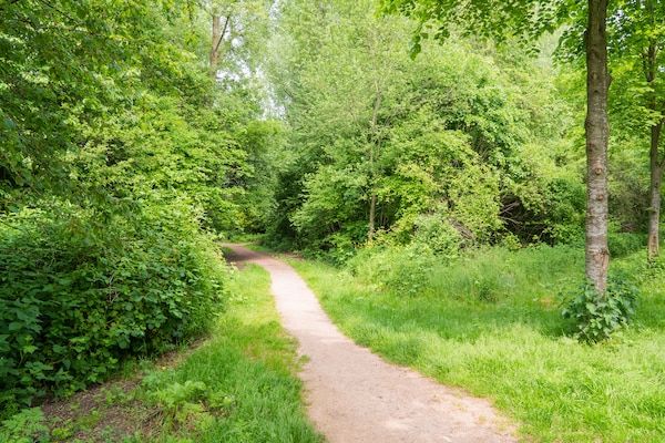 AreaSummer1KM - Prachtige nieuwe groepswoning met panoramisch uitzicht in Montfoort (4)