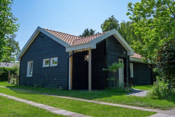 Untagged - Vakantiehuis in Renése met zwembad in Renesse (1)