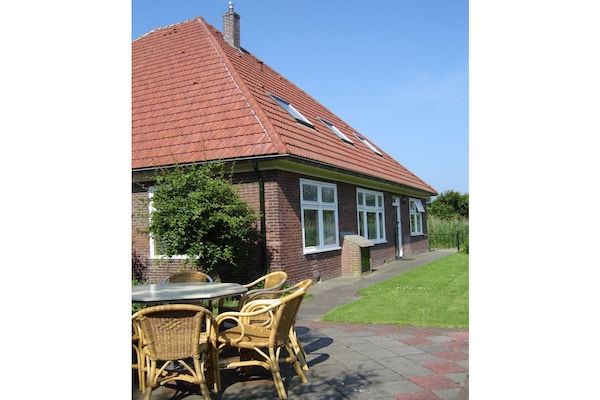 Untagged - op de boerderij De Hoenderhave in Petten (4)