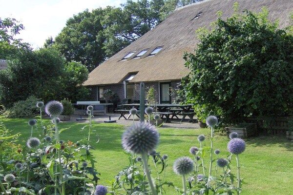 Untagged - Vakantiehuis in Anderen met zwembad in Anderen (2)