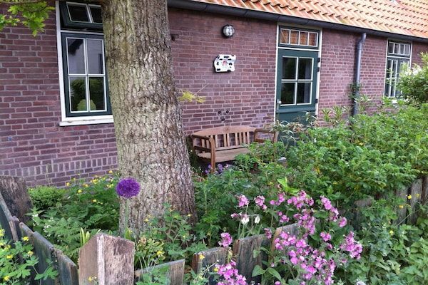 Untagged - Vakantiehuis in Groet met zwembad in Groet (3)