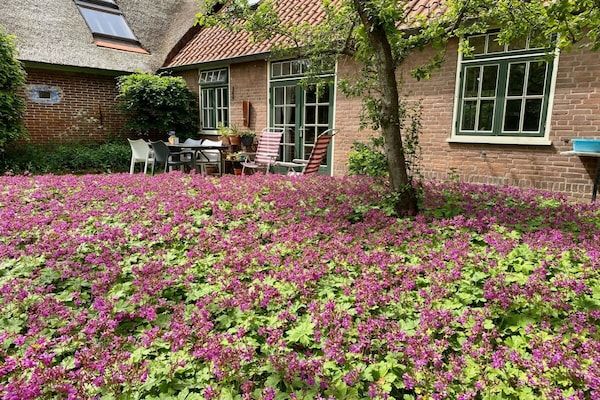 Untagged - Vakantiehuis in Groet met zwembad in Groet (1)