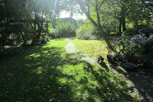 Untagged - Vakantiehuis in Groet met zwembad in Groet (5)