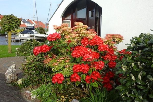 Untagged - Aquaronde 75 op het schiereiland in Dernau (1)