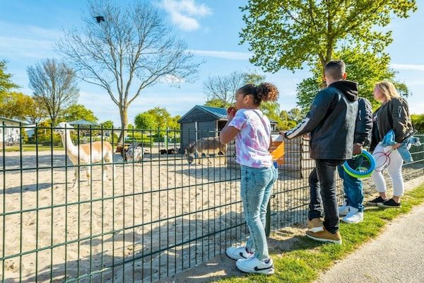 Untagged - Vakantiehuis met 1 slaapkamer in Noord-scharwoude (2)