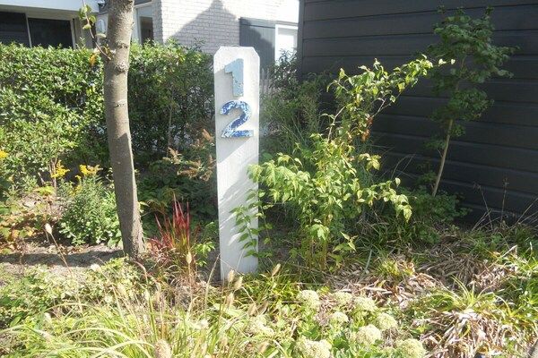 Untagged - Vakantiehuis in Zeeland met 2 slaapkamers in Brouwershaven (3)