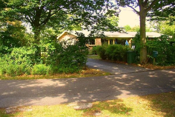 Untagged - Bungalow Zeeduinen in Oostkapelle (1)