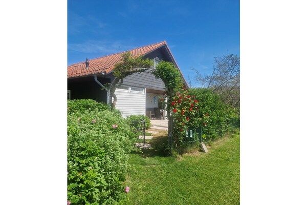 Untagged - Vakantiehuis met 3 slaapkamers in Julianadorp aan zee (2)
