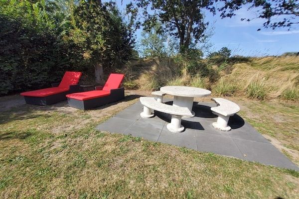 Untagged - Prunus 12 Klepperstee Ouddorp in Ouddorp (5)