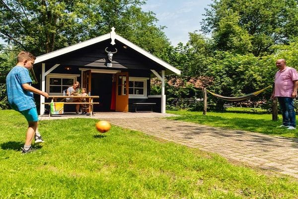 Buitenkant - Esthetisch houten huisje in Slagharen in Slagharen (1)