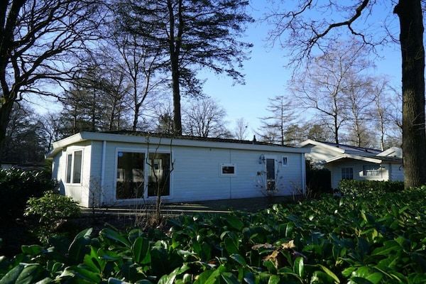 Untagged - Vakantiehuis in Arnhem met terras in Arnhem (1)