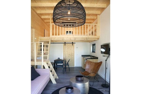 Untagged - Tiny House Plus 4 in Hulshorst (4)