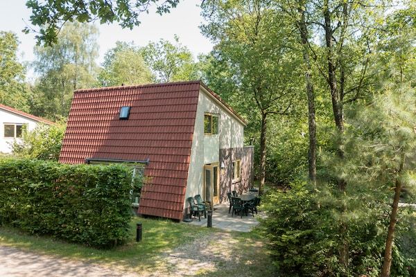 Buitenkant - Hoenderloo Uitje met Zwembad in Hoenderloo (5)