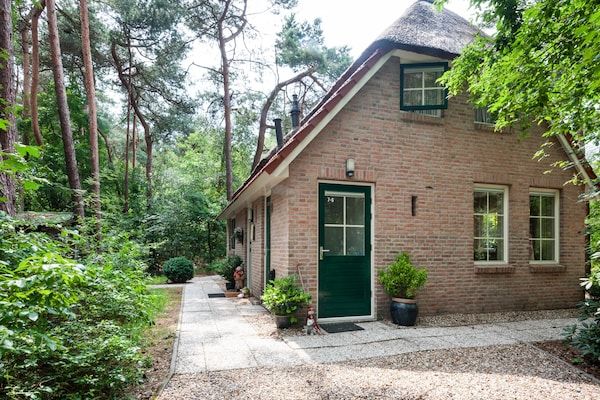 Buitenkant - Vakantiehuis in Beerze bij Bos in Beerze (5)