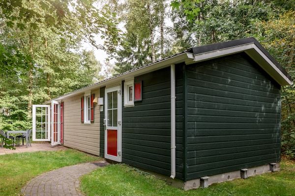 Buitenkant - Gezellig chalet in het Borgerbos in Borger (1)