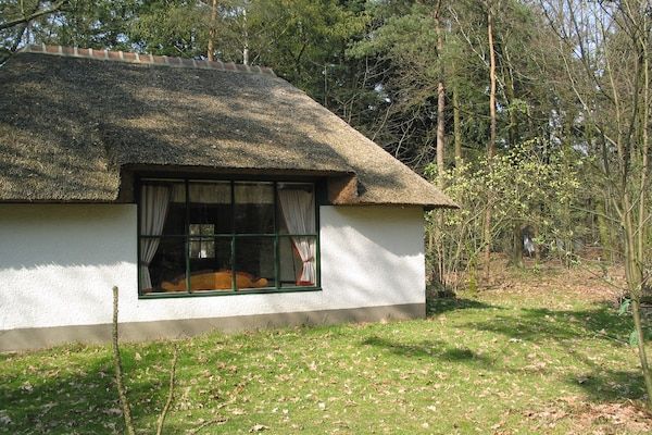 Buitenkant - Bosvilla in Herperduin met Bubbelbad in Herpen (2)
