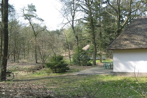 Buitenkant - Bosvilla in Herperduin met Bubbelbad in Herpen (1)