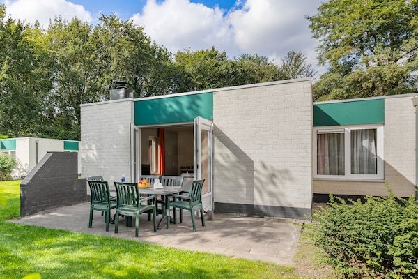 Terras - Bospaden en zwembad in de buurt in Borger (5)