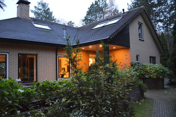 Buitenkant - Woodland Group Villa nabij Veluwe & Campfire in Doornspijk (1)