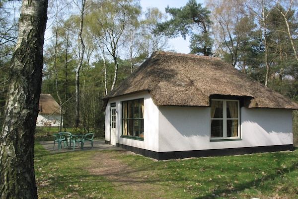 Buitenkant - Eco Retreat in Herperduin in Herpen (1)