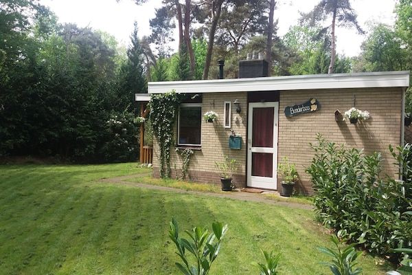 Buitenkant - Vakantiehuis in Arriën bij Beerze in Ommen (5)