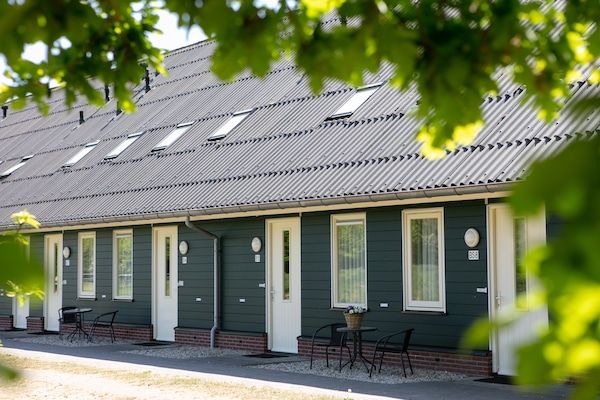 Buitenkant - Ontspannend toevluchtsoord in het bos in Hardenberg (rheezerveen) (1)