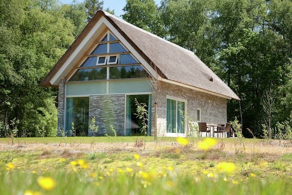 Buitenkant - ruime en stijlvolle villa in Ruinen (2)