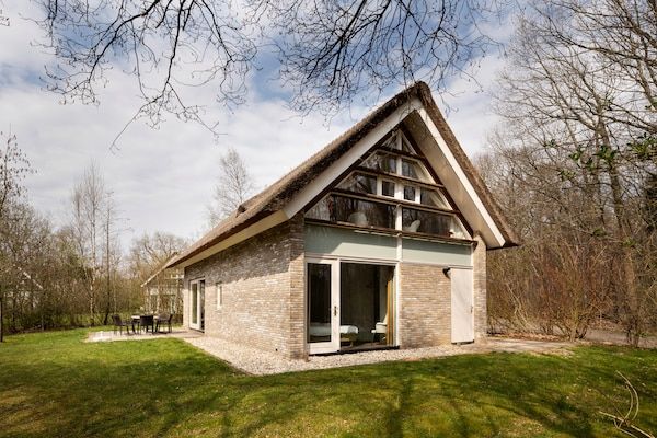 Buitenkant - ruime en stijlvolle villa in Ruinen (1)